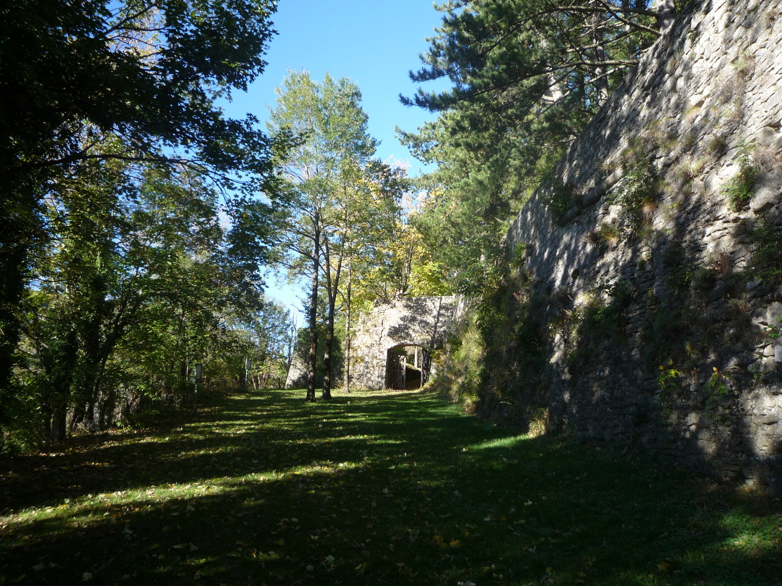 P1090750